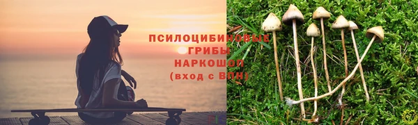 гидропоника Володарск